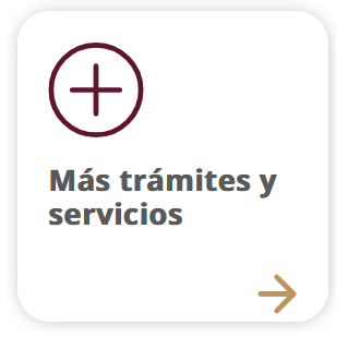 Más trámites y servicios